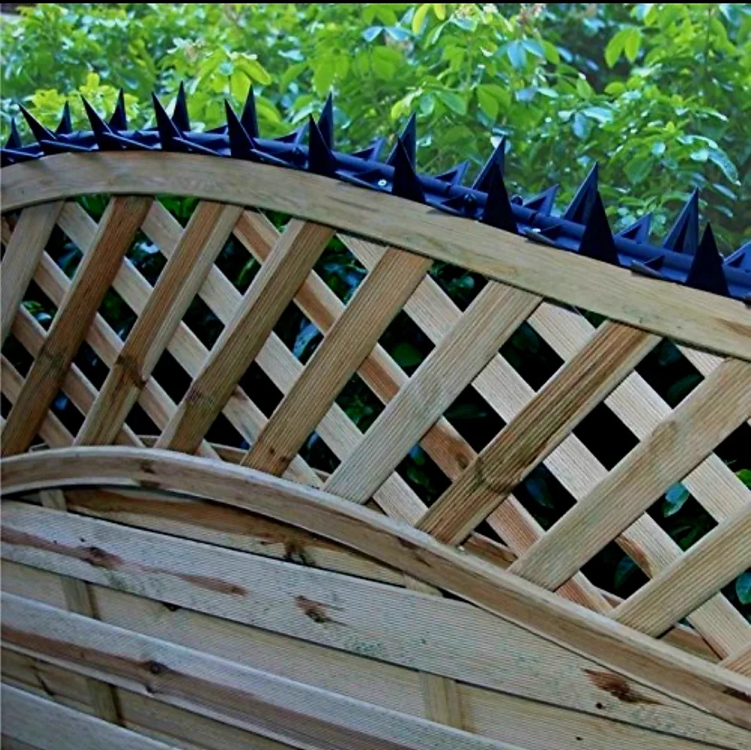Anti-Climb Fence & Wall Spikes — view 3