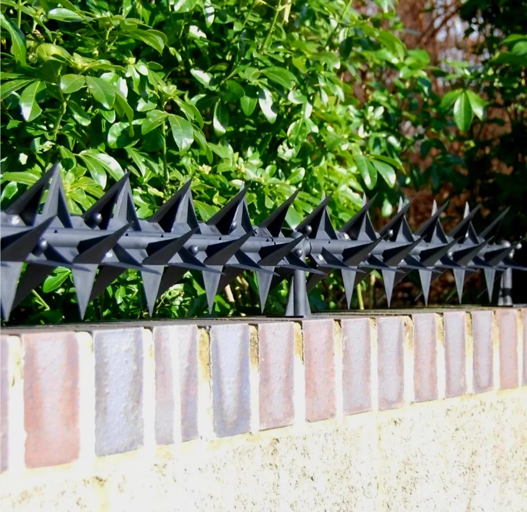 Anti-Climb Fence & Wall Spikes — view 5